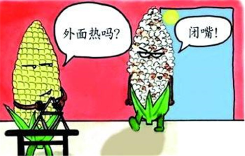 高温降暑 (2)_副本.jpg