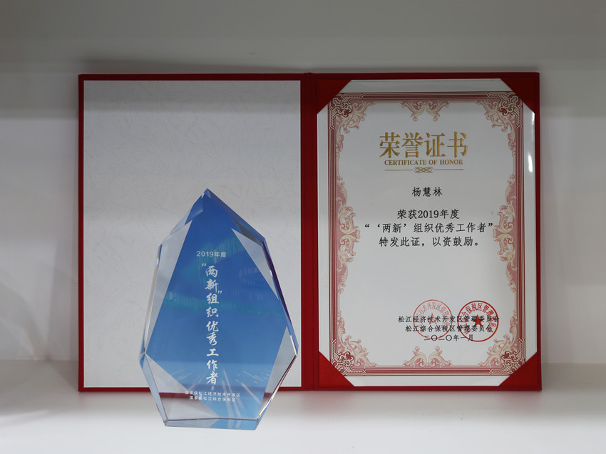 企福天地党支部书记杨慧林荣获2019年度“‘两新’组织优秀工作者”称号