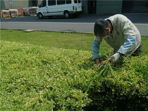 节前把好安全关7.jpg