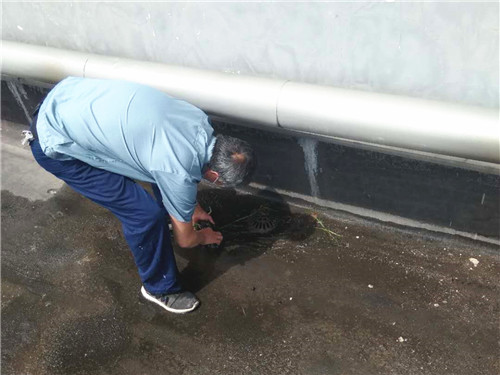 双脚在污水里浸泡一个小时4_副本.jpg