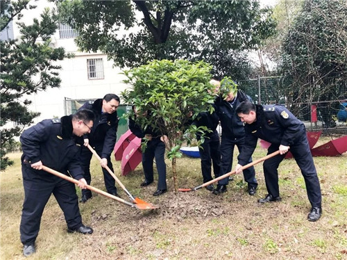 学雷锋 植绿树4.webp_副本.jpg