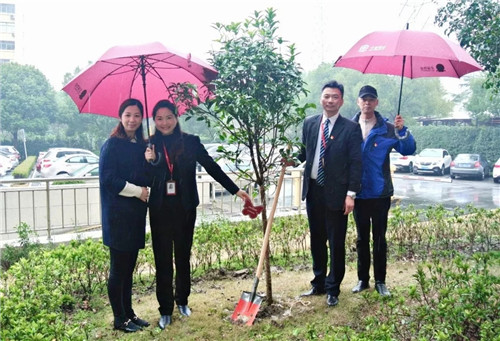 学雷锋 植绿树5.webp_副本.jpg