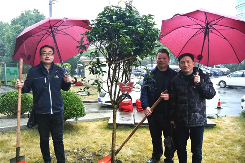 学雷锋 植绿树6.webp_副本.jpg