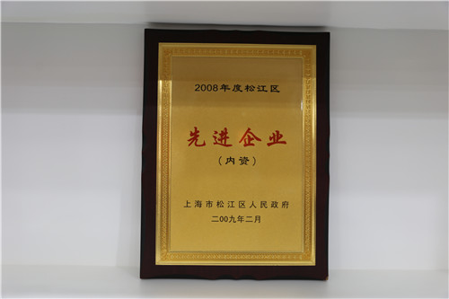 2008年度松江区先进企业