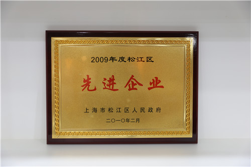 2009年度松江区先进企业