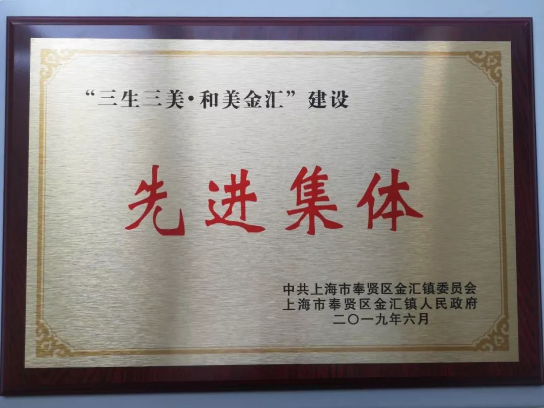 2019.6企福金汇科技园党支部荣获奉贤区金汇镇2019年度“先进集体”称号2.webp.jpg