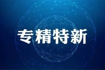 2020.1企福服务的14家企业被认定为2019年度松江区“专精特新”企业