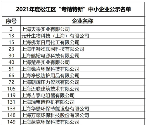 专精特新2_副本.jpg