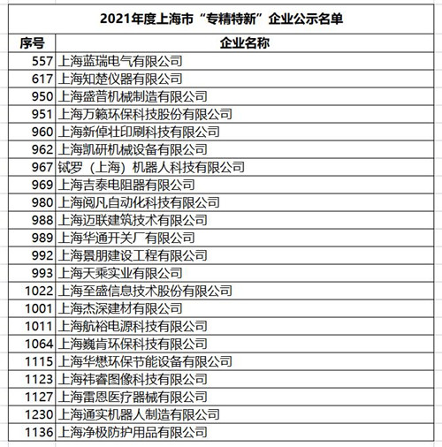 市级专精特新_副本.jpg