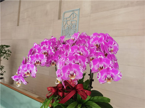 企福天地2_副本.jpg 企福天地2_副本.jpg